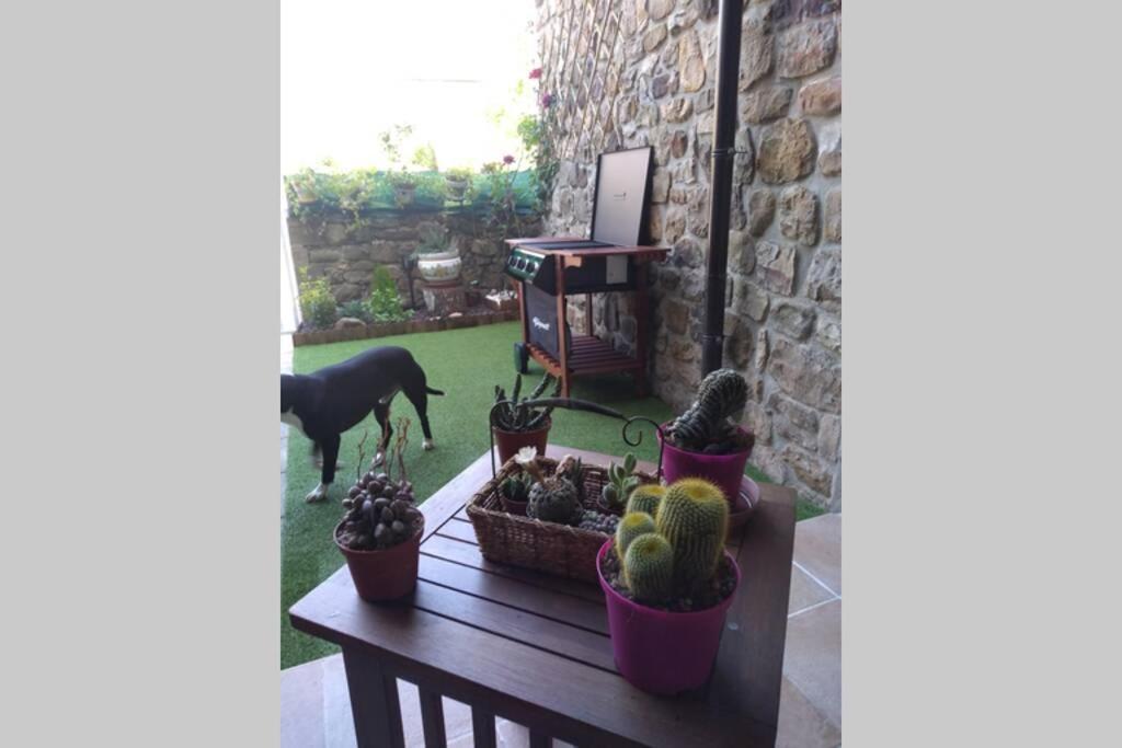 Casa Con Vistas En Ucieda Βίλα Εξωτερικό φωτογραφία